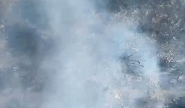 Antalya'da orman yangını (2)