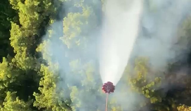 Antalya'da orman yangını