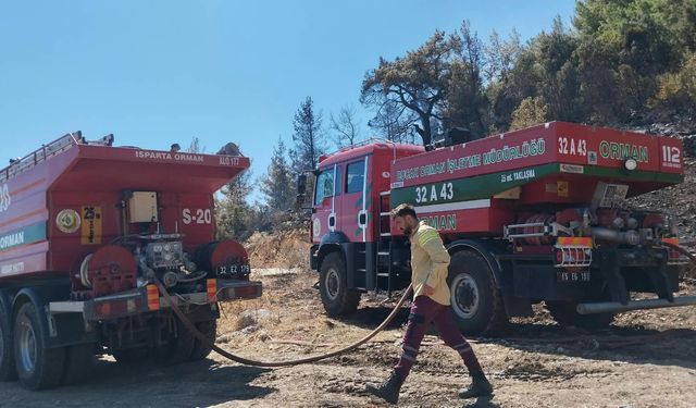 Burdur'da orman yangını (2)