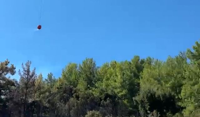 Burdur'da orman yangını (3)