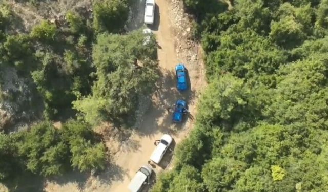 Hatay'da 371 kök kenevir ele geçirildi