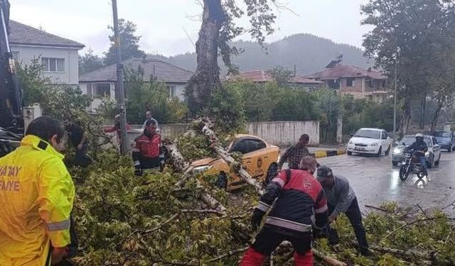 Hatay'da aşırı rüzgarda devrilen ağaç otomobilin üzerine düştü