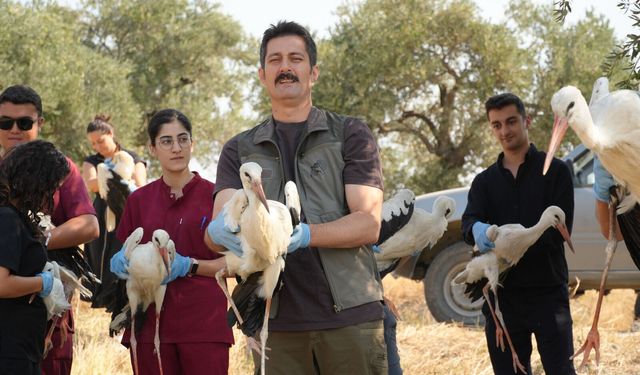 Hatay'da tedavileri tamamlanan 21 leylek ve 1 çeltik kuşu doğaya salındı