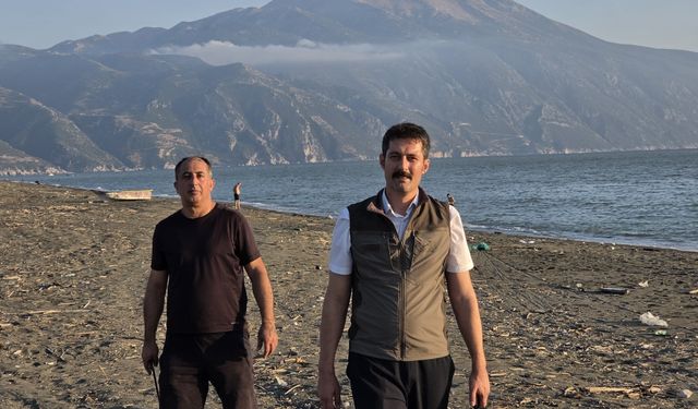 Hatay'da yavru kaplumbağalar denizle buluşuyor