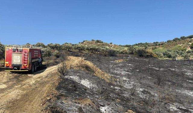 Hatay'da zeytinlik alandaki yangın söndürüldü
