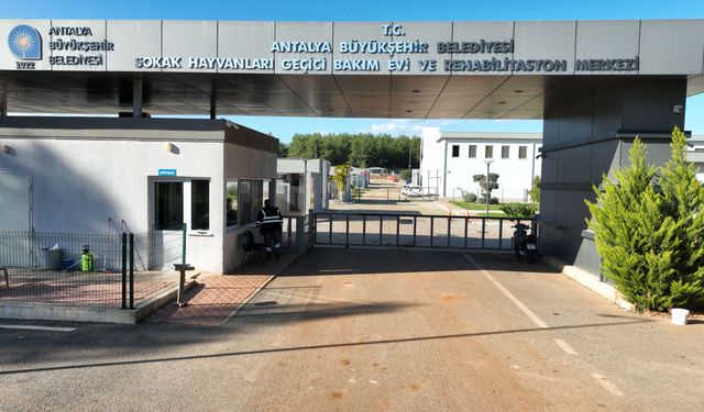 Hayvanseverlerden Büyükşehirin hayvan barınağına tam not