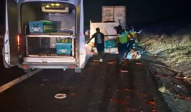 Kamyonet, TIR'a arkadan çarptı: 2 ölü /Ek fotoğraflar