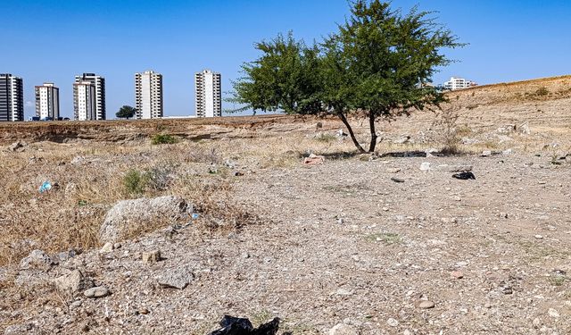 Kayıptı, boş arsada cansız bedeni bulundu