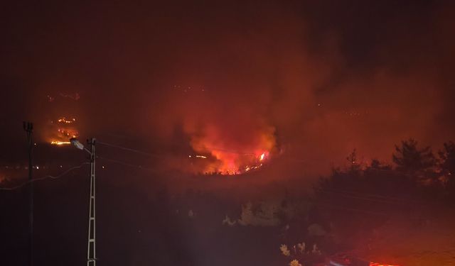 Kozan'da 2 ayrı noktada orman yangını; yerleşim yerleri tedbir amaçlı boşaltıldı (5)