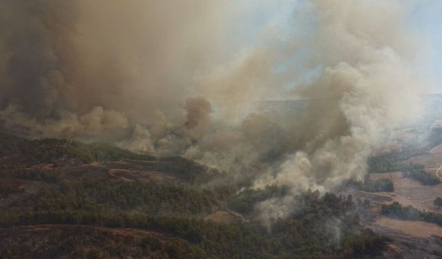 Kozan'da başlayıp, 2 ilçeye daha sıçrayan orman yangını 2'nci gününde (2)