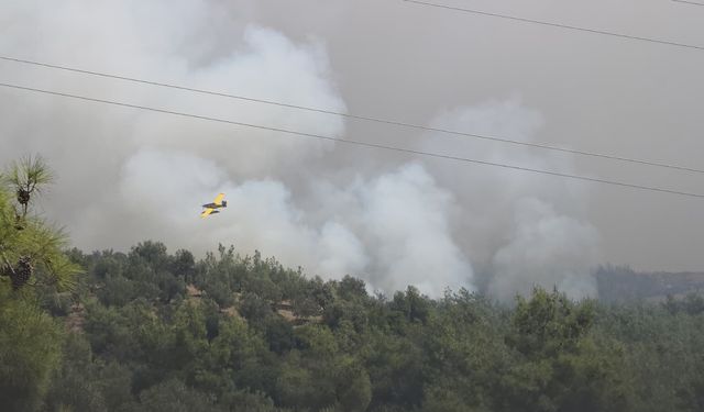 Kozan'da başlayıp, 2 ilçeye daha sıçrayan orman yangını 2'nci gününde (3)