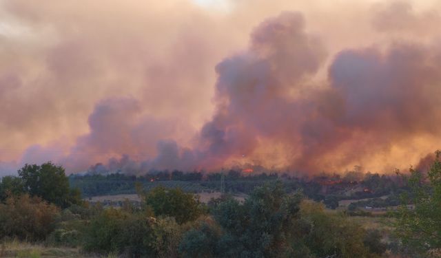 Kozan'da başlayıp, 2 ilçeye daha sıçrayan orman yangını 2'nci gününde