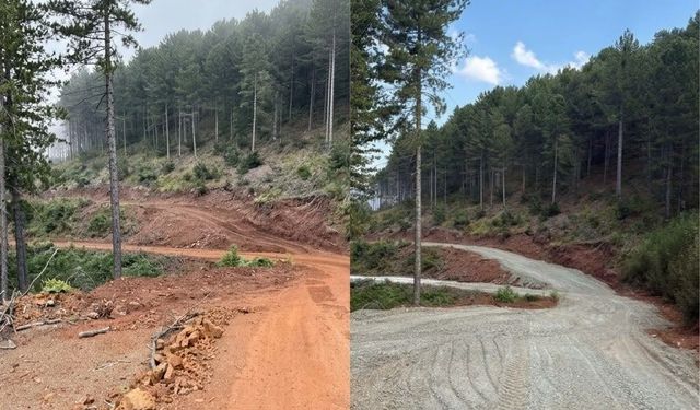Orman yollarında üst yapı çalışmaları tamamlandı