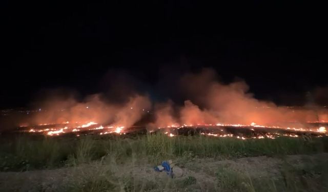 Osmaniye'de iki gün üst üste aynı bölgede anız yangını