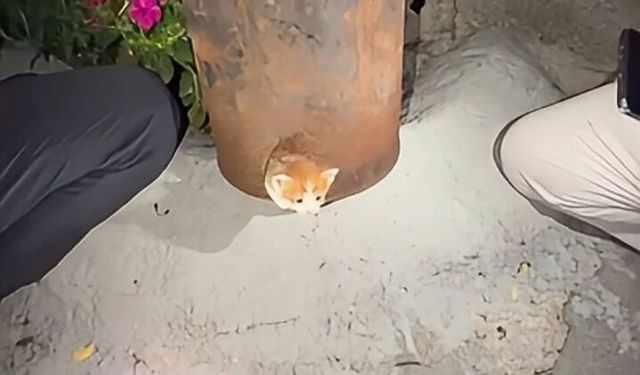Soba kovasına sıkışan kediyi itfaiye kurtardı