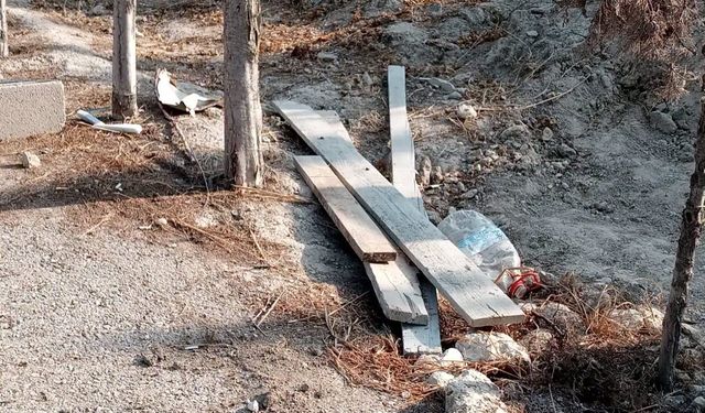 Davultepe Mezarlığı Çöplüğe Döndü: Vatandaşlar Temizlik Bekliyor