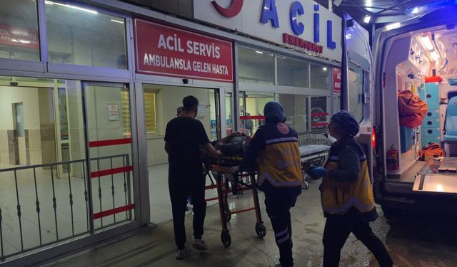 Adana'da hafif ticari araç kanala düştü: 2 yaralı
