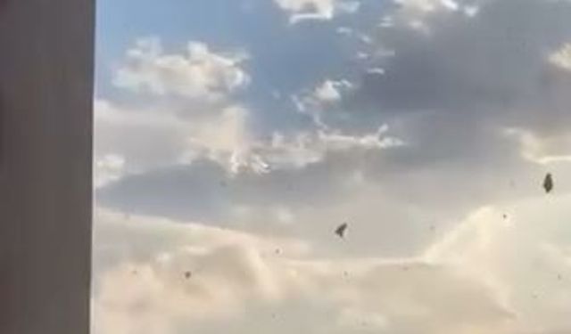Adana'da sağanak sonrası alt geçidi su bastı; otomobilde mahsur kaldılar (2)