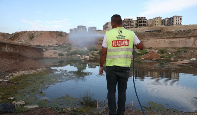 Hatay'da haşere ve vektör mücadelesi