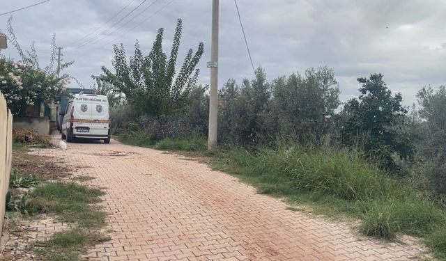 Kayıp Mehmet'i öldürdüğünü itiraf etti; yapılan kazıda kemik parçaları bulundu / Ek fotoğraflar