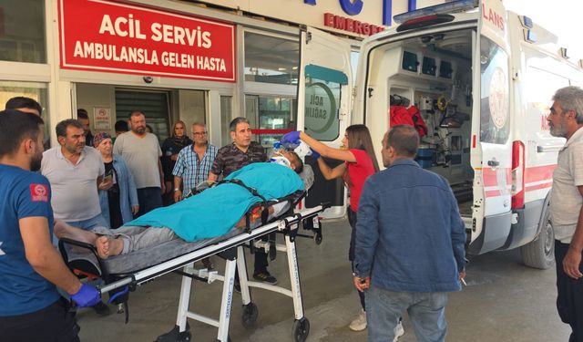 Kestiği ağacın altında kalan emekli uzman çavuş ağır yaralandı