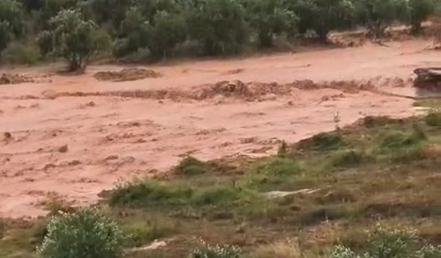 Kuvvetli yağış ve dolu nedeniyle tarım arazileri zarar gördü (2)