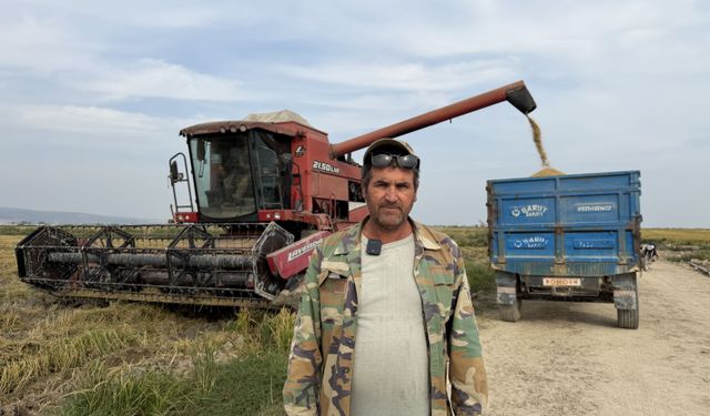 Silifke'de çeltik hasadı başladı