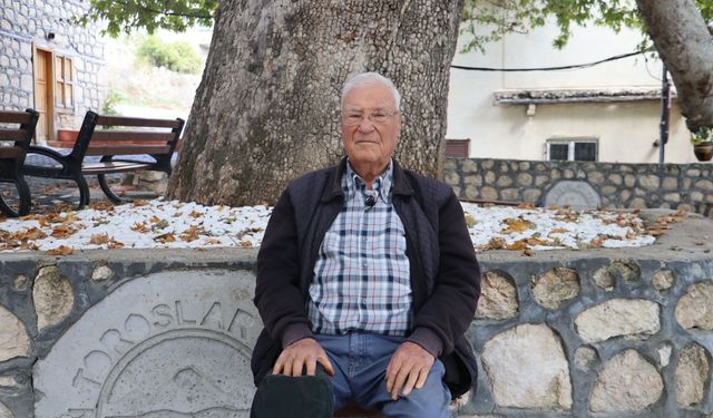 Toroslar'da asırlık çınarın çehresi yenilendi