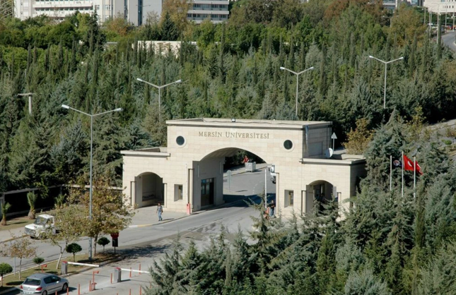 Mersin Üniversitesi, YBS Mezunlarına Kapılarını Açmalı!