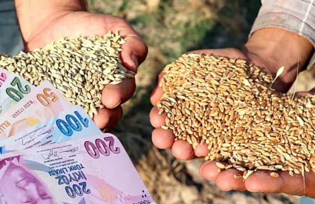 🌾 Buğdaya Zam, Arpaya İndirim! Hububat Piyasası Karıştı