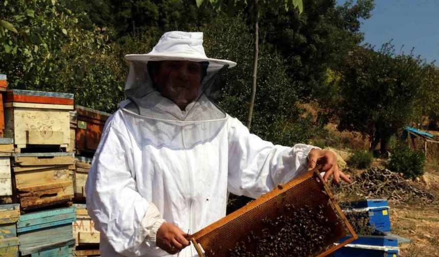 Kadın girişimci devletten önce eğitim, sonra da kredi alarak arıcılığa başladı