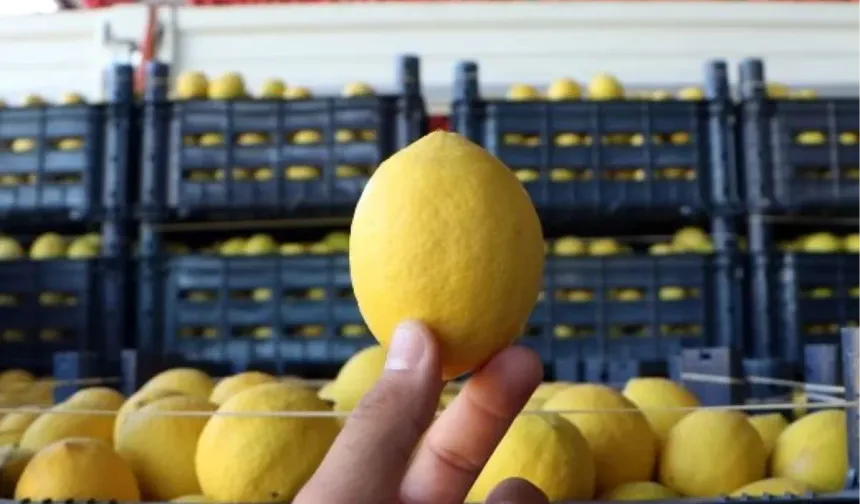 Sabah Aç Karnına Limonlu Su İçenler Bunu Öğrenince Şaşırıyor - Uzmanlardan Dikkat Çeken Açıklama