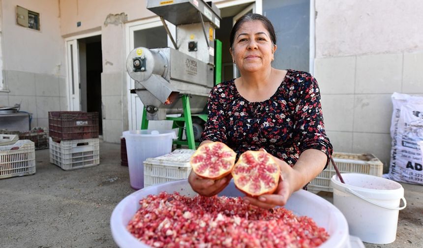 Mersin'de Üreticiye Teknolojik Destek: Nar Taneleme Makinesi