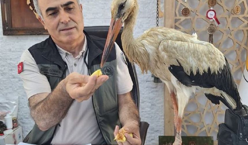 Yangından kaçtı, Anamur’da şefkat buldu