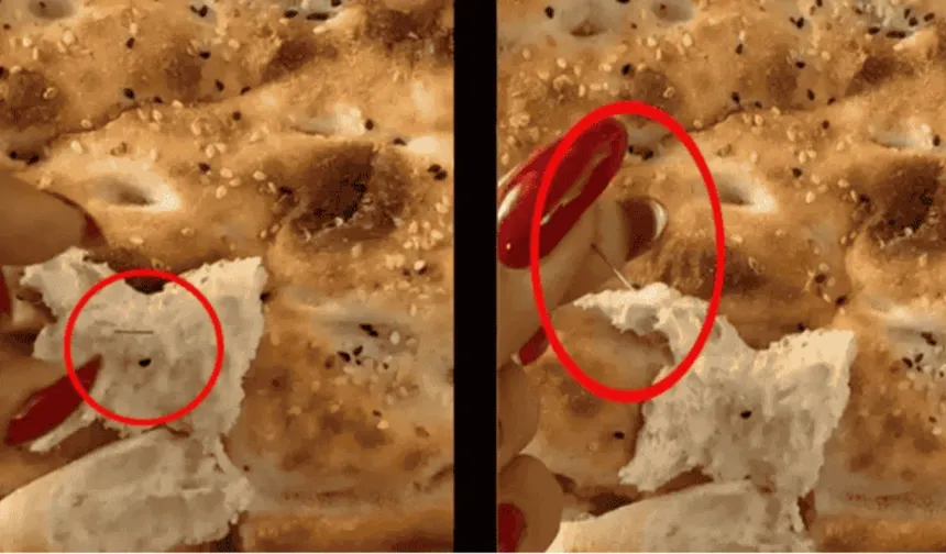 Toroslar’da Pide Ekmeğinden İlaç İğnesi Çıktı