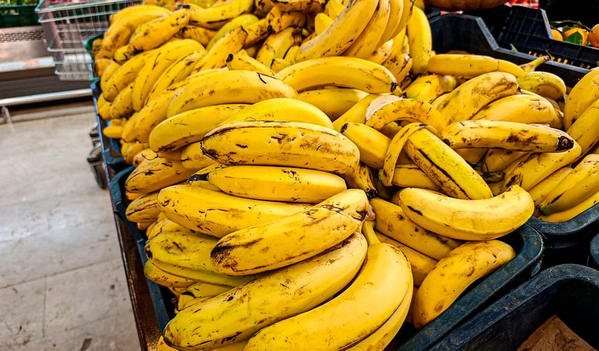 Adana'da muz üretimi, devlet teşvikleriyle 7 bin 500 dekara çıktı