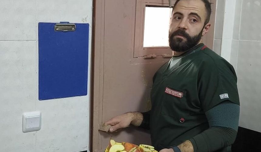 Bitkin halde bulunan yavru ayıya özel bakım