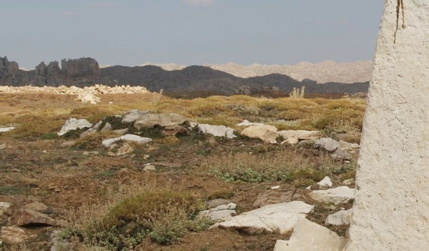 Karamanoğulları Beyliği'ni araştırırken 148 adet sikke buldu