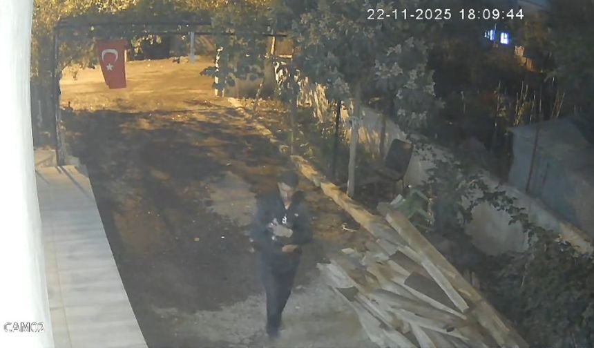 Osmaniye'de mavi yumurtlayan özel cins tavuk hırsızlığı kamerada