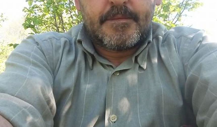 Üzerine serendi devrilip öldü