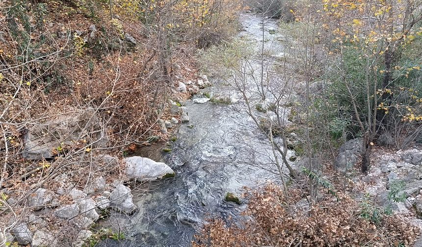 Doğa tutkunlarının yeni rotası; Karanlıkdere Kanyonu