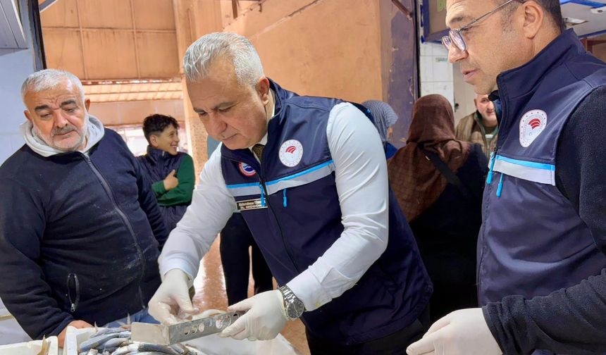Hatay'da balık pazarı denetlendi