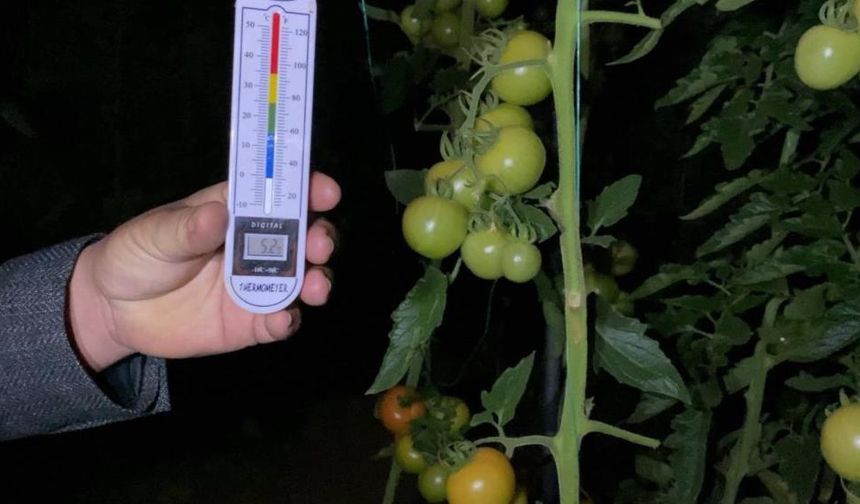 Mersin’de Seralarda Zirai Don Nöbeti Başladı