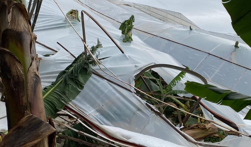 Anamur'da dolu yağışı seralara zarar verdi