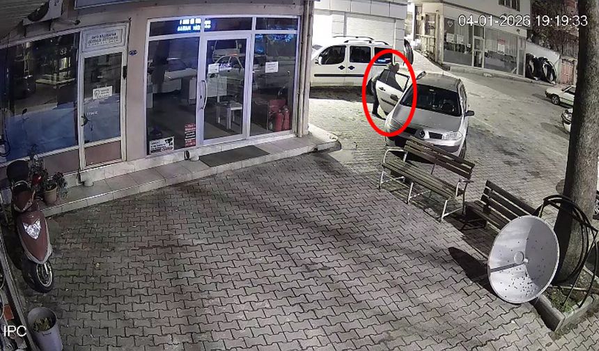 İş yeri önünde duran çiçeği çaldı