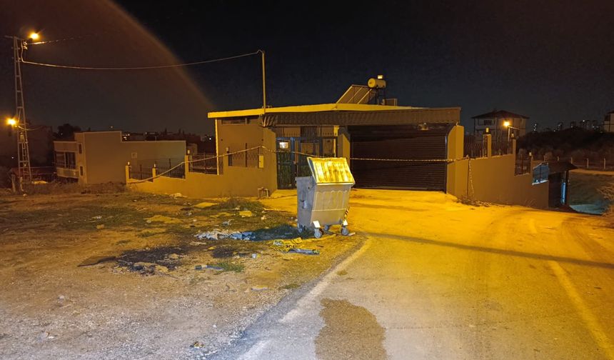 Lüks villadaki aile faciasından geriye mutluluk paylaşımları kaldı