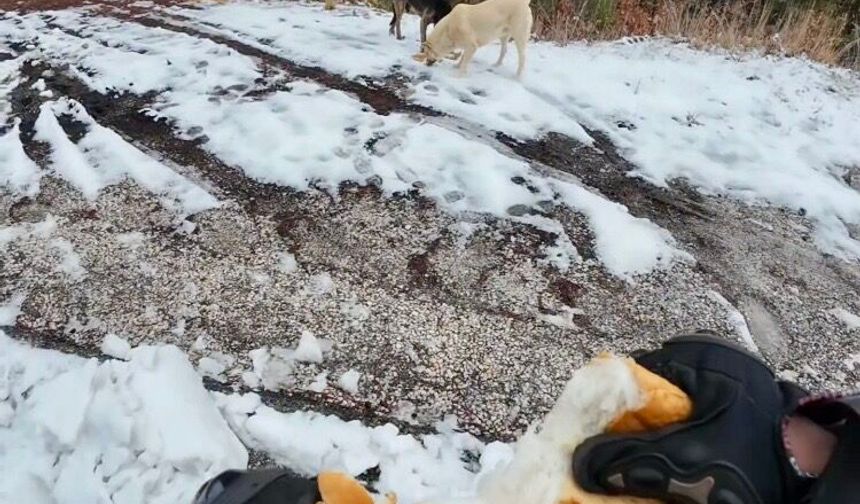 Osmaniyeli motosikletliler Amanoslar'da besleme çalışması yaptı