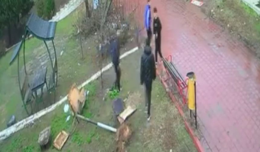 Adana'da çocuklar parktaki kuş yuvasını parçaladı: o anlar kamerada