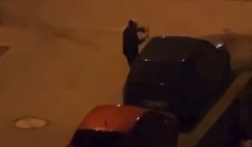 Alkollü olduğu iddia edilen kadın, araçların sileceklerini kırdı