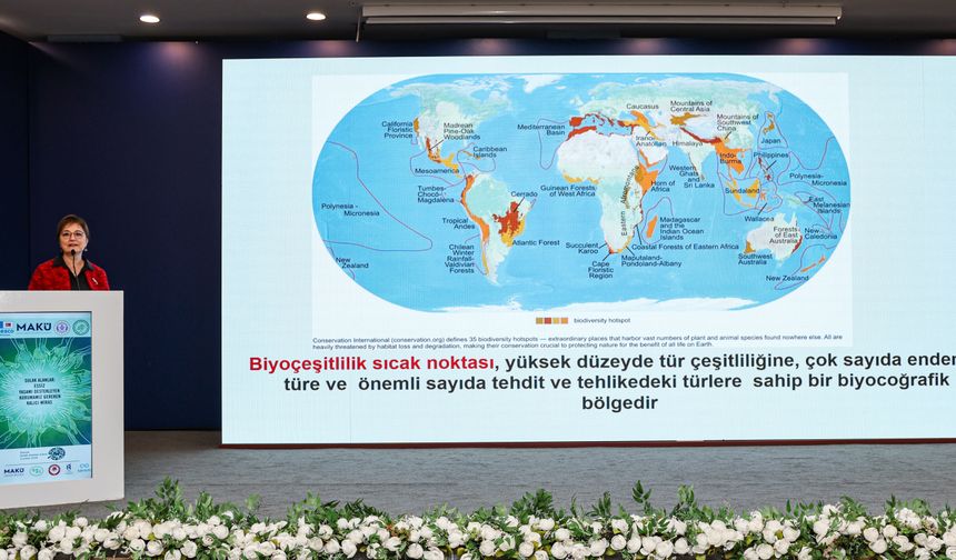 Ramsar Sulak Alanları Çalıştayı yapıldı